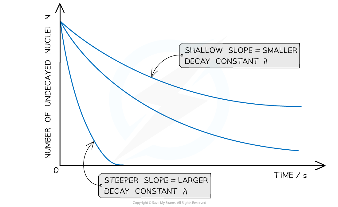 <ul><li><p>The steeper the slope, the larger the decay constant λ (and vice versa)</p></li><li><p>The decay curves always start on the y-axis at the initial number of undecayed nuclei (N<sub>0</sub>)</p></li></ul><p></p>
