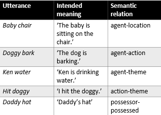 <p>Syntactic Development</p><p><strong>__________: ”Mini-sentences” with simple semantic relations, almost always exhibit appropriate word order (general word order rule by 3 years old)</strong></p>