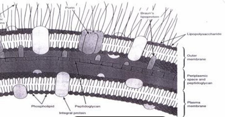 <p>What does this image show?</p>