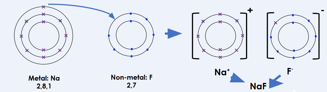 <p>Describe</p>