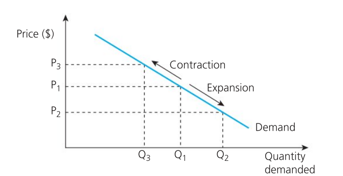 <p>Movement Along Demand Curve</p>