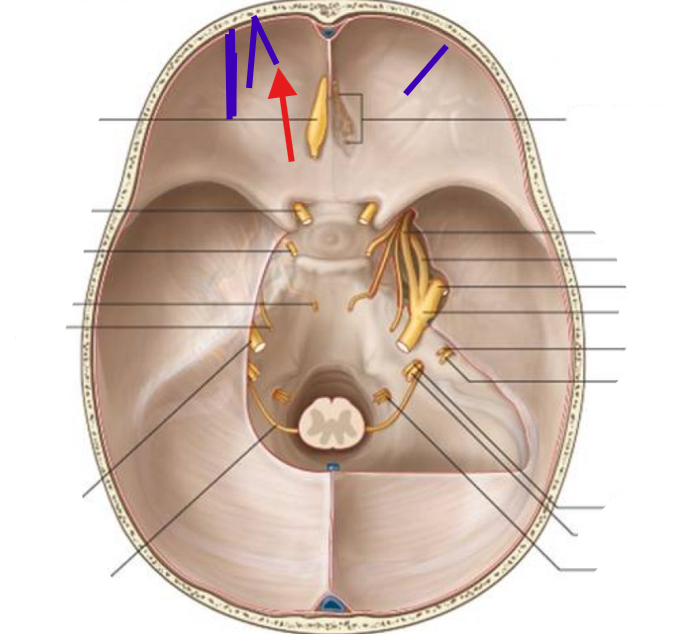 <p>What is this structure?</p>