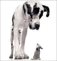 <p>enormous</p>