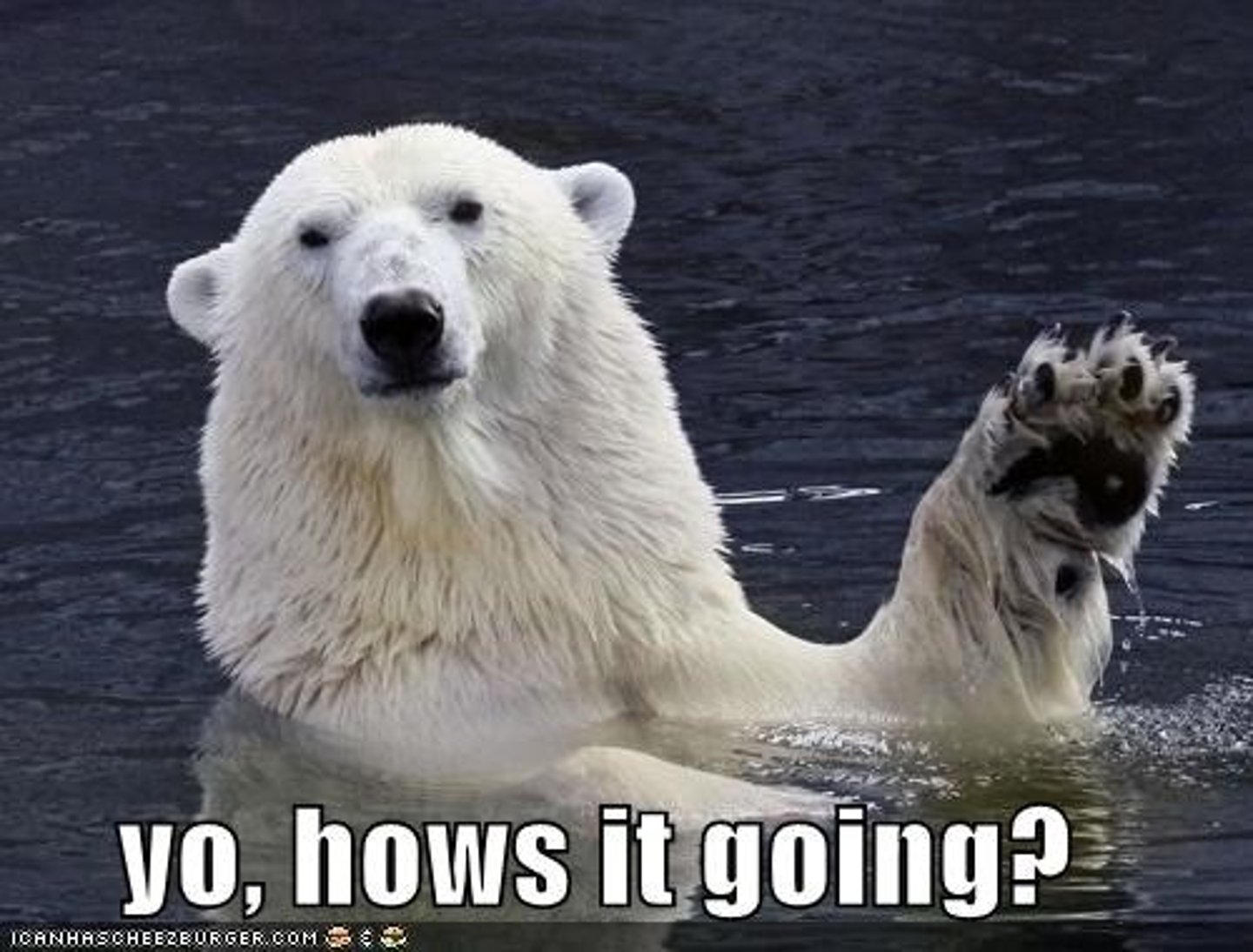 <p>How are you?; How is it going?</p>