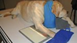 <p>what’s this position?</p>