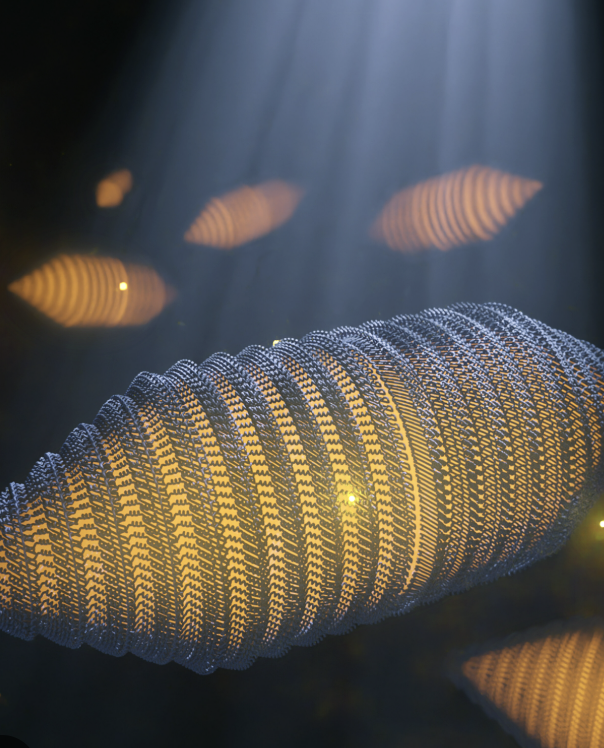 <p>Protein-covered cylinders </p><p></p>