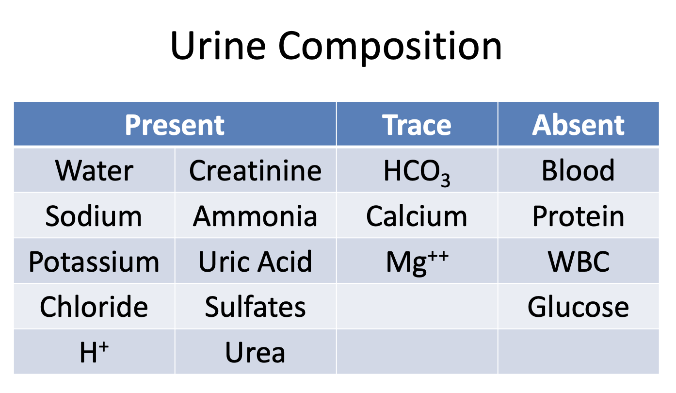 <ul><li><p>Blood</p></li><li><p>Protein</p></li><li><p>WBCs</p></li><li><p>Glucose</p></li></ul><p></p>