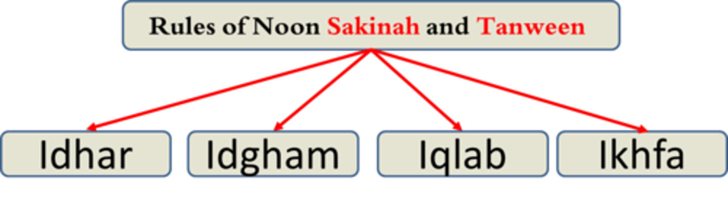 <p>Idhar, Idgham, Iqlab and Ikhfa</p>