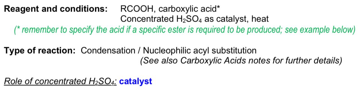 <p>ester</p>
