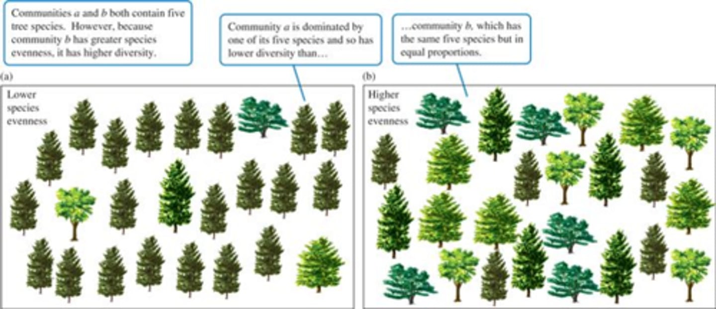 <p>The relative proportion of individuals within the different species in a given region</p>