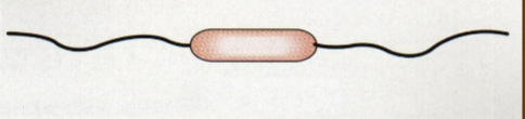<p><span>One or more at each end</span></p>