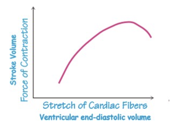 <p>what principle does this graph represent</p>