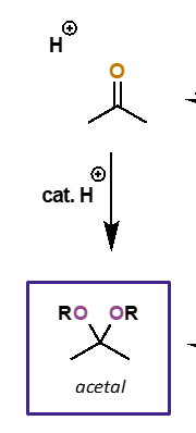 <p>catalysed by acid </p><p>initially formed is hemiacetal adduct</p><p>final product is acetal</p>