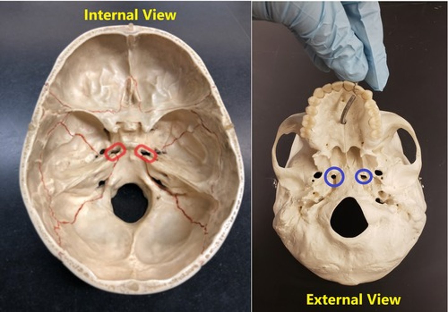 <p>Name the space</p>