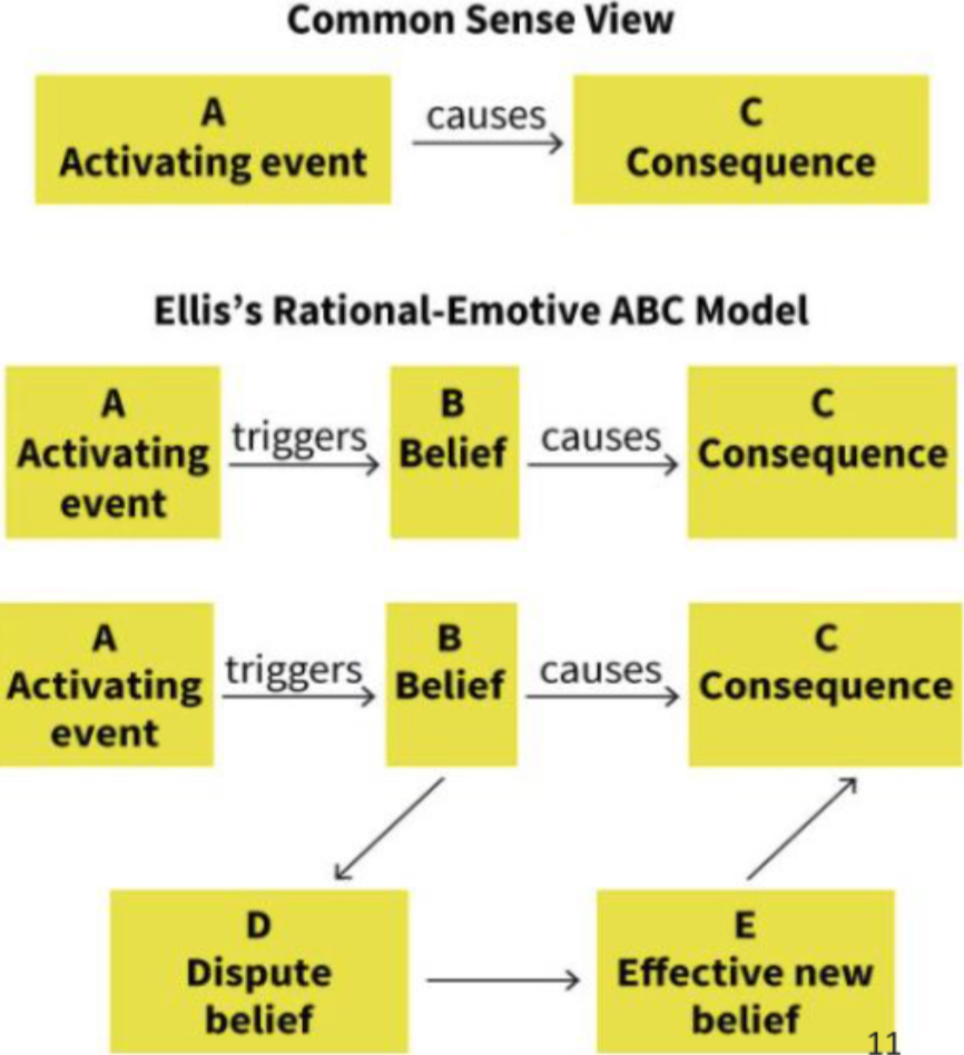 <p>Therapist challenges the patient’s irrational beliefs</p><ul><li><p>pioneered by Albert Ellis</p></li><li><p>Assumes that beliefs (B) link activating events (A) and consequences (C) </p></li><li><p>If a client’s beliefs are irrational, they will lead to negative consequences </p><ul><li><p>The therapist disputes the irrational beliefs and offers more effective substitutes </p></li></ul></li></ul><p></p>