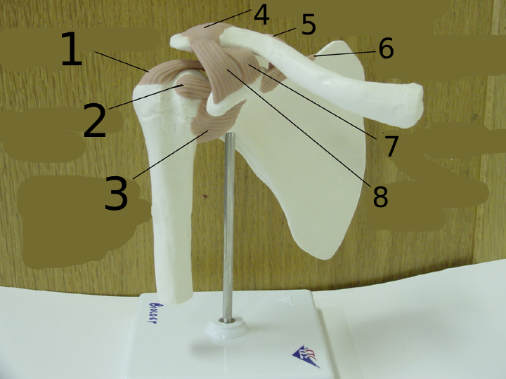 <p>#2</p>
