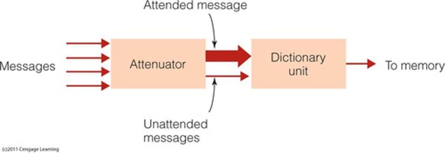 <p>Instead of a complete filter, there is simply an attenuator that will not amplify the not-attended information. This focus could then be switched.</p>