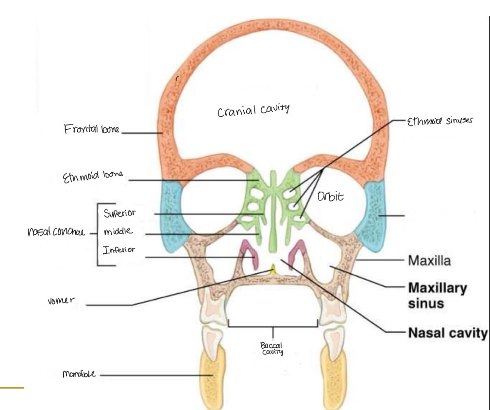 <p><br>label missing word on diagram</p>