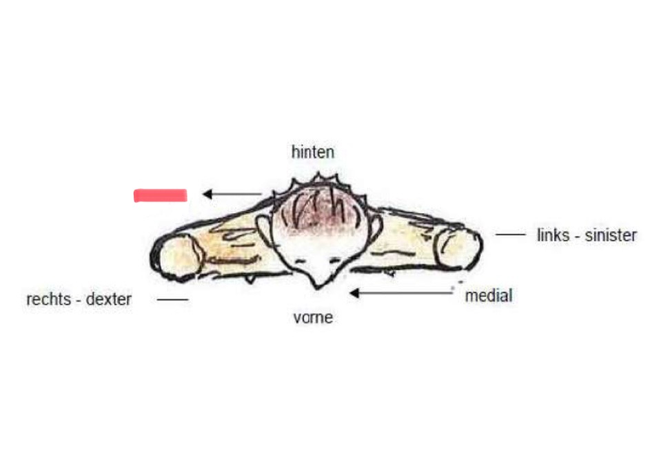 <p>Richtungsbeschreibung </p>