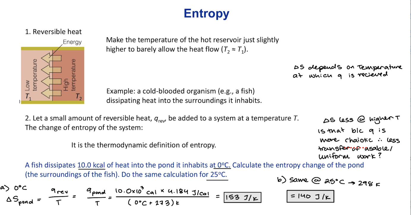<p>Make the temperature of the hot reservoir slightly higher to barely allow the heat flow T<sub>2</sub>~T<sub>1</sub> </p><p>Let a small amount of reversible heat, q<sub>rev</sub>, be added to a system at a temperature T. The change of entropy f the system: It is the thermodynamic definition of entropy. </p><p>Example: a cold-blooded organism dissipating heat into the surroundings it inhabits. </p><p>∆S= (q<sub>rev</sub>/T)</p>