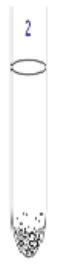 <p>What are obligate anaerobic</p>