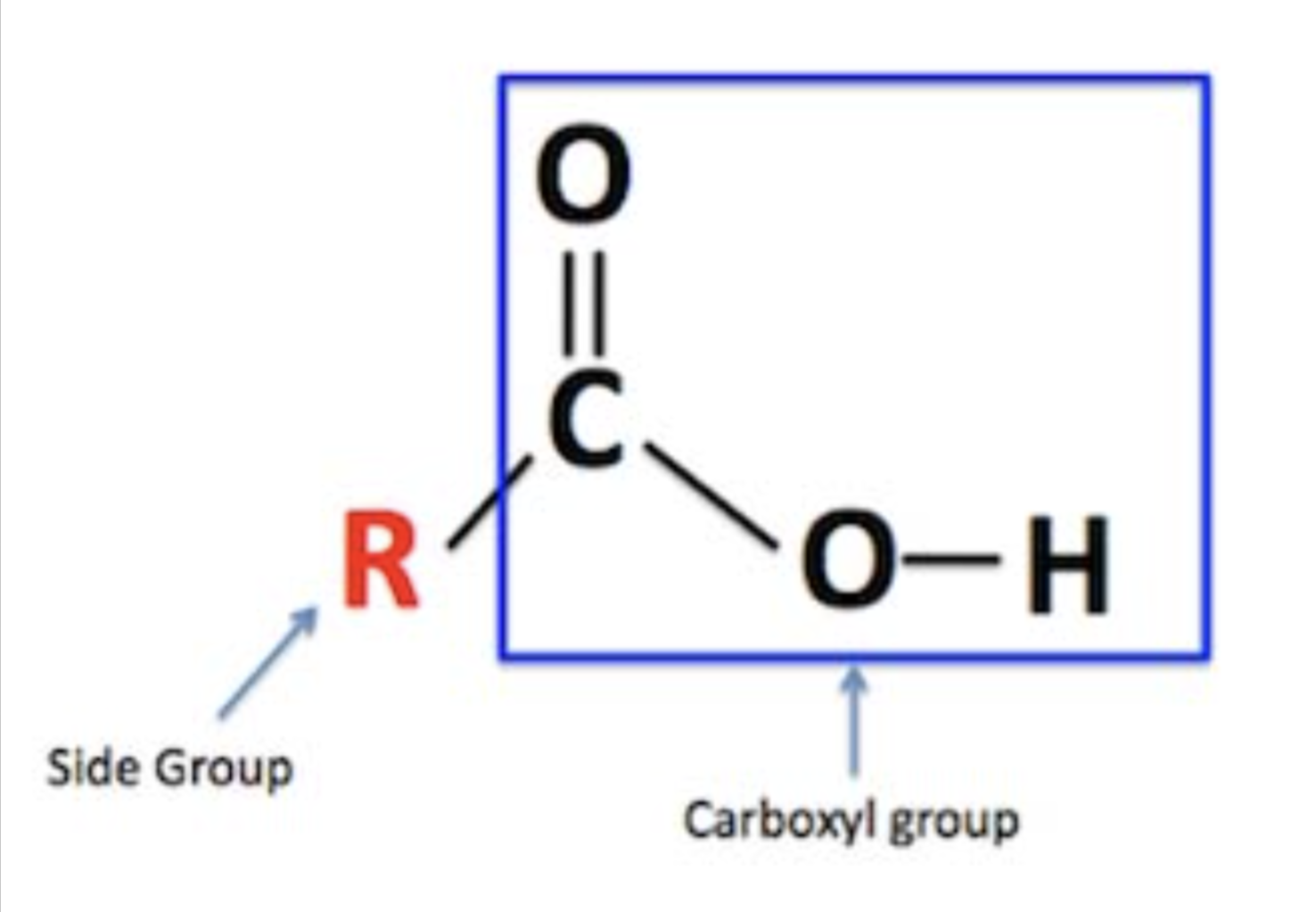 <p>Tends to be acidic; slightly polar (gives H<sup>+</sup> away)</p>