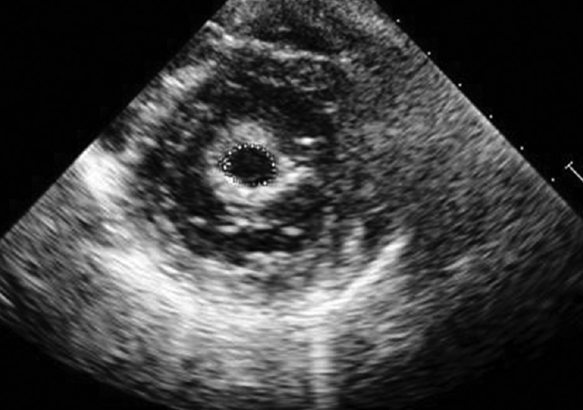 <p>what does this represent?</p>