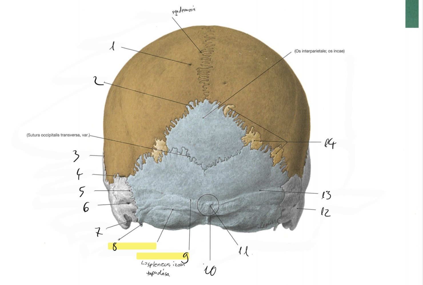 <p>1es felett</p>