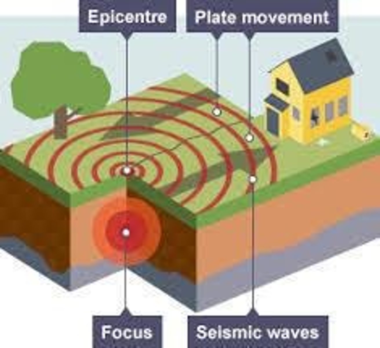 <p>the point on the surface directly above the focus (where the earthquake begins)</p>