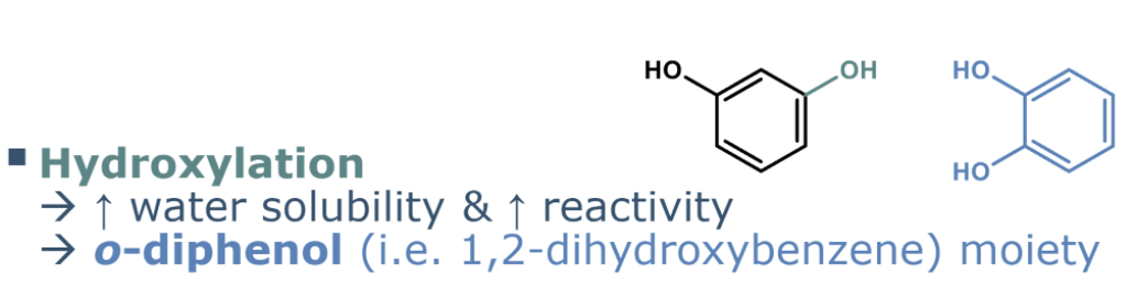 <p>adding OH group</p><p>increase in polarity</p><p><span style="background-color: inherit; line-height: 20.7px;"><strong><span>increases reactivity</span></strong><span> (higher susceptibility to oxidation/higher antioxidant capacity)</span></span></p><p></p><p><span style="background-color: inherit; line-height: 20.7px;"><span>higher water solubility</span></span></p><p><span style="background-color: inherit; line-height: 20.7px;"><span>higher oxidation </span></span></p><p><span style="background-color: inherit; line-height: 20.7px;"><span>higher antioxidant act</span></span></p><p></p>