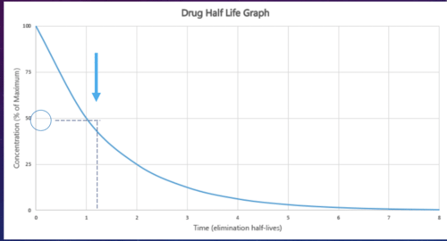 <p>the process in which our body eliminates any medicine or drug</p><p>how long does it take until your body contains half of the dose in your body</p>