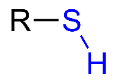 <p>-SH; found in Proteins; polar/hydrophillic</p>