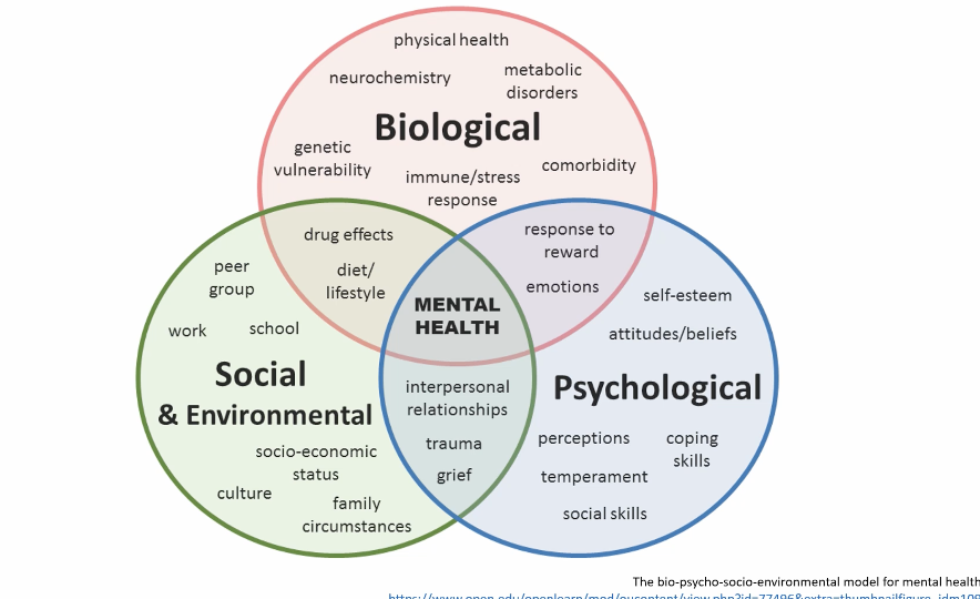 <p>Biological</p><p>Psychological</p><p>social and environmental</p><p></p><p></p>