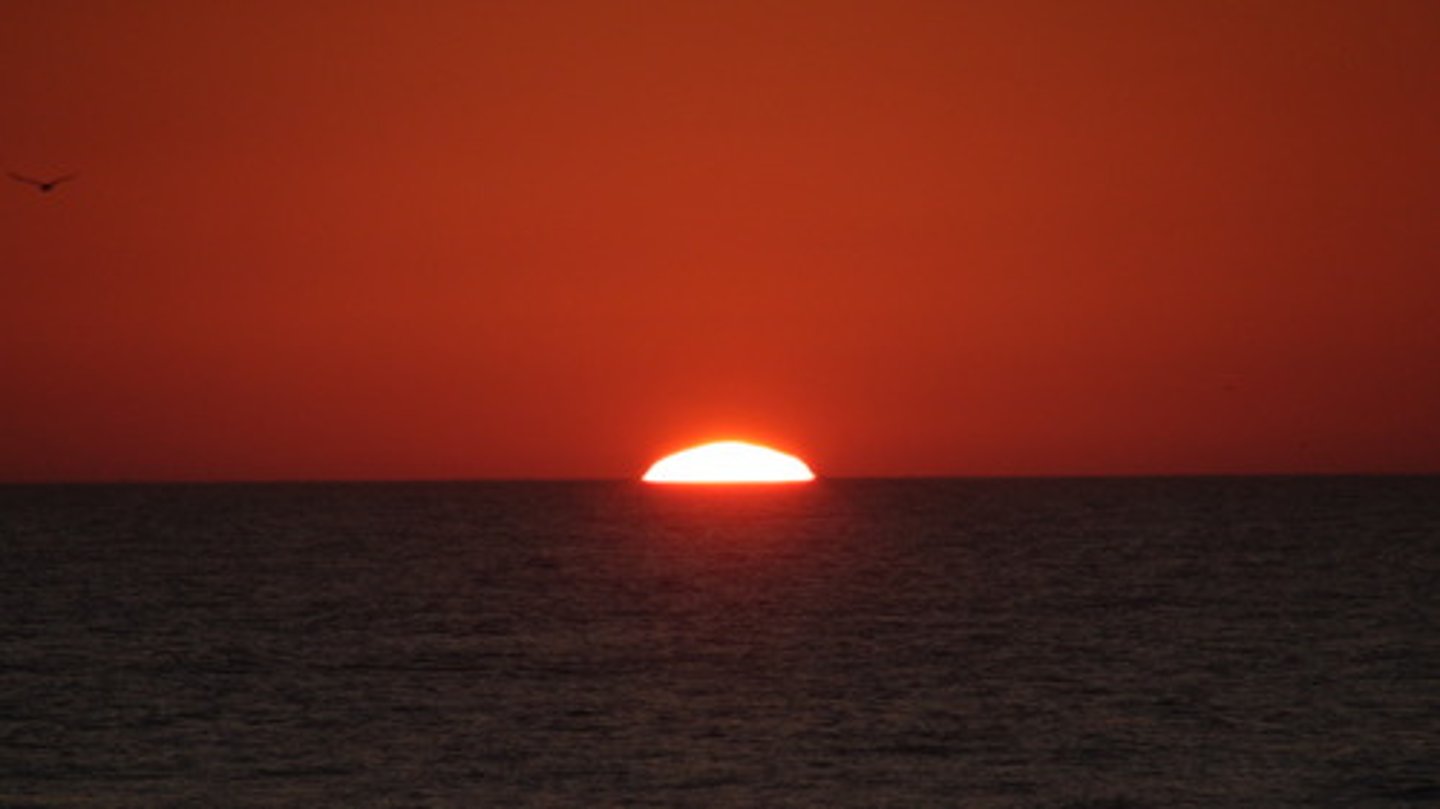 <p>very early in the morning</p>