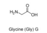 <p>G</p>