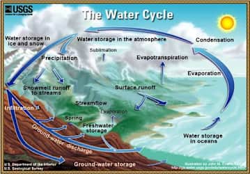 <p><span>There is much interdependence among the biogeochemical cycles on Earth. Explain how warmer ocean water involved in these cycles. Responses</span></p>