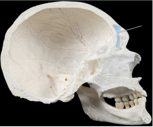 An empty space in the frontal bone connected with the middle nasal meatus
