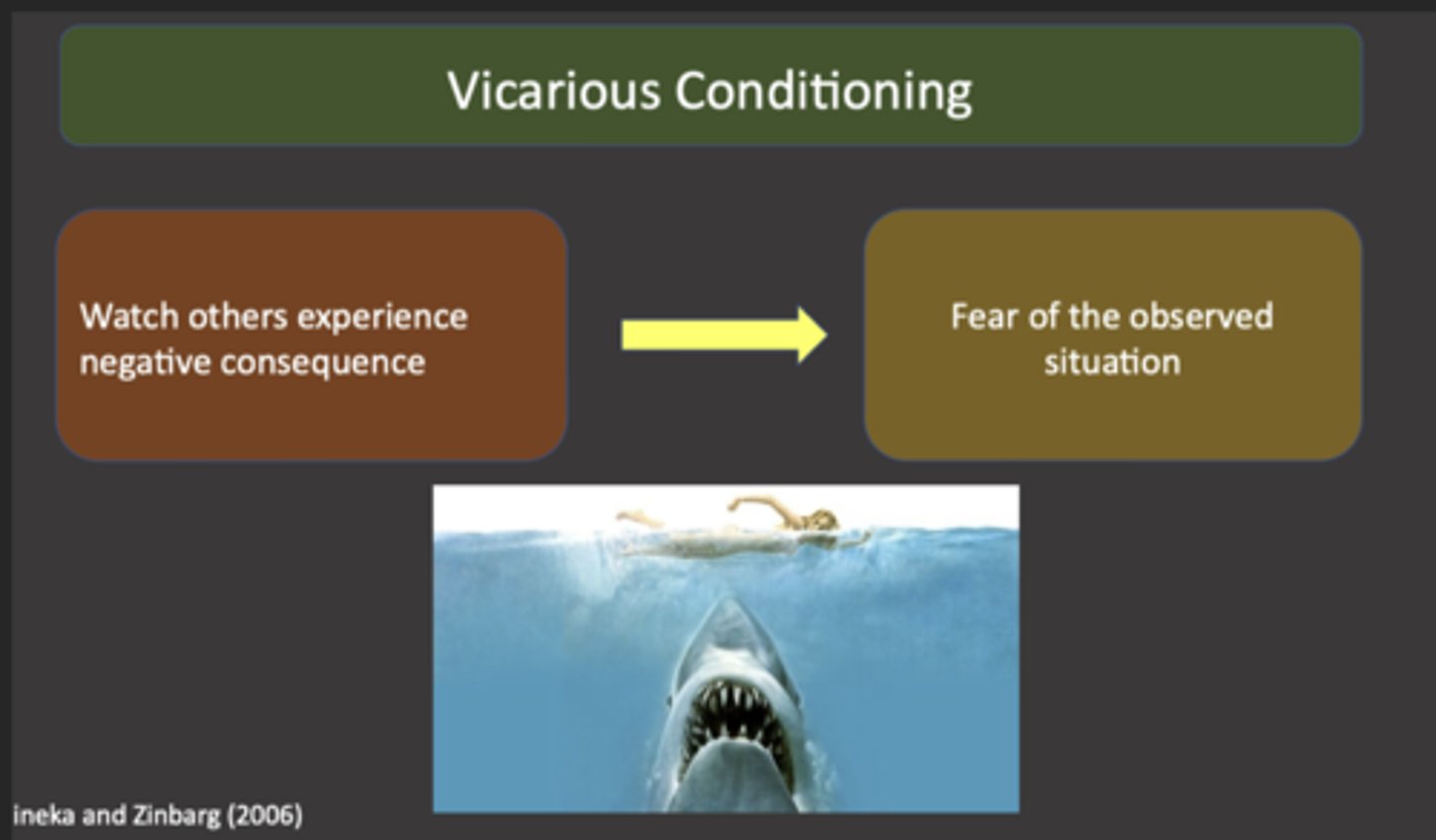 <p>Learning through the observation of others' experiences, without direct experience of the consequences; for example, developing a fear of snakes after seeing someone else react fearfully to them.</p>