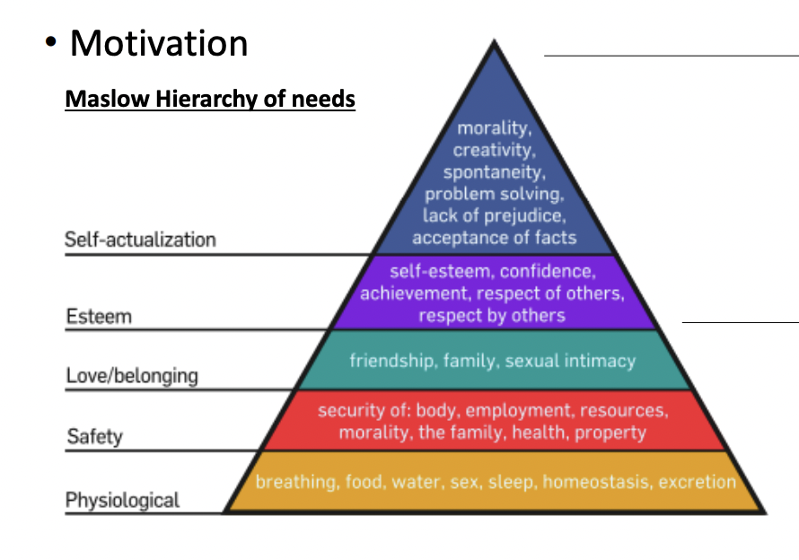 <ol><li><p>Physiological needs (base) </p></li><li><p>Safety needs </p></li><li><p>Social needs (belonging/love) </p></li><li><p>Esteem needs </p></li><li><p>Self actualization (top)</p></li></ol><p></p>