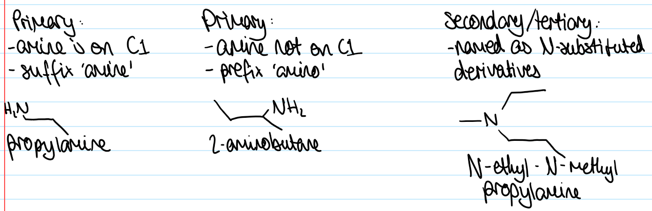 <p>primary amines:</p><ul><li><p>amine is on C1- suffix ‘amine’ used</p></li><li><p>amine not on C1- prefix ‘amino’ used</p></li></ul><p>secondary/tertiary amines:</p><ul><li><p>named as N-substituted derivative e.g. N-methylethylamine</p></li></ul><p></p>