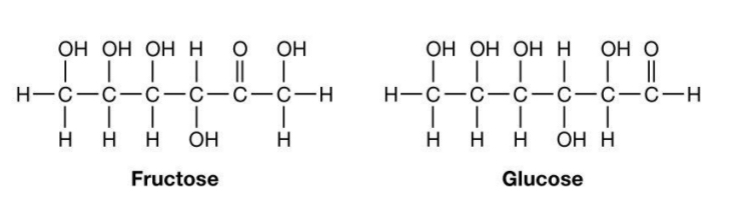 <ul><li><p>General formula: (CH2O)n</p></li><li><p>Important sugars in cell metabolism have 3-7 carbons</p></li><li><p>3 sugars = trioses; 4 sugars = tetroses; 5 sugars = pentoses; 6 sugars = hexoses</p></li><li><p>Carbonyl internal position – forms ketone = ketose</p></li><li><p>Carbonyl at one end – forms aldehyde = aldose</p></li></ul><p></p>