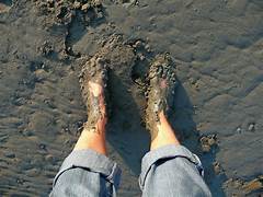 <p>Muddy</p>