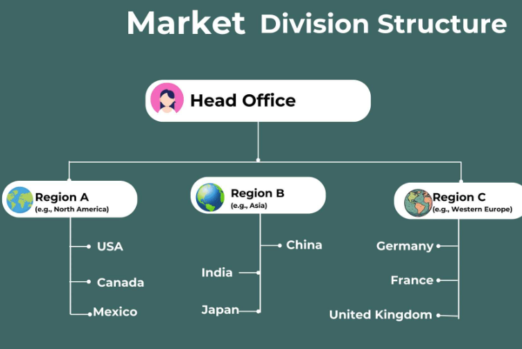 <ul><li><p>adopted by organizations that are customer-focused or large organizations that span many locations such as multinational companies or also often by service industries</p></li></ul><p>Pros:</p><ul><li><p>develop deep customer knowledge and close customer relationships </p></li><li><p>tailoring of products and services to adapt to customer needs</p></li></ul><p>Cons:</p><ul><li><p>duplication of activities and resources</p></li><li><p>erosion of deep technical expertise</p></li><li><p>missed learning/synergy opportunities</p></li></ul><p></p>