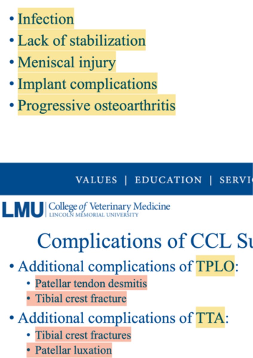 <p>patients with poor outcome following CCL repair need...</p>