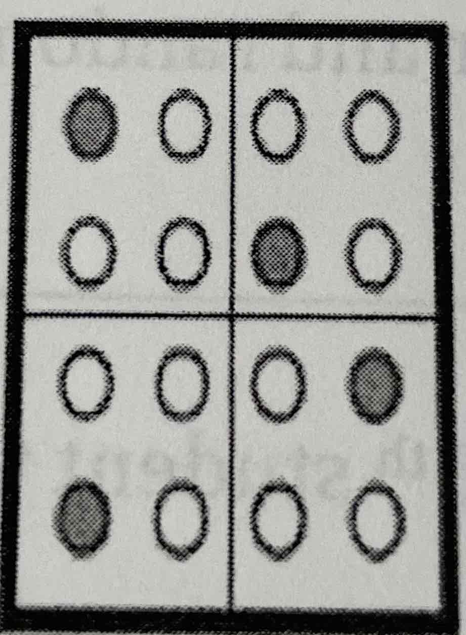 <p>The population is first divided into groups. Then members are randomly chosen from each group</p>