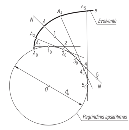 <p>Evolventė yra kreivė, gaunama nuvyniojant apskritimo sudaromąją</p>