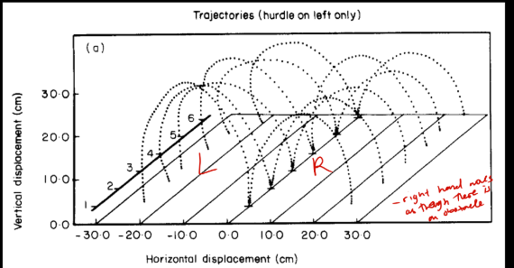 <ul><li><p>Movement of right limb affected by task demands of the left limb</p></li></ul><p></p>