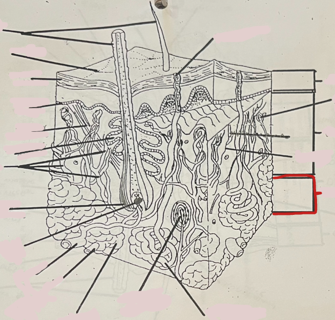 <p>What is this?</p>