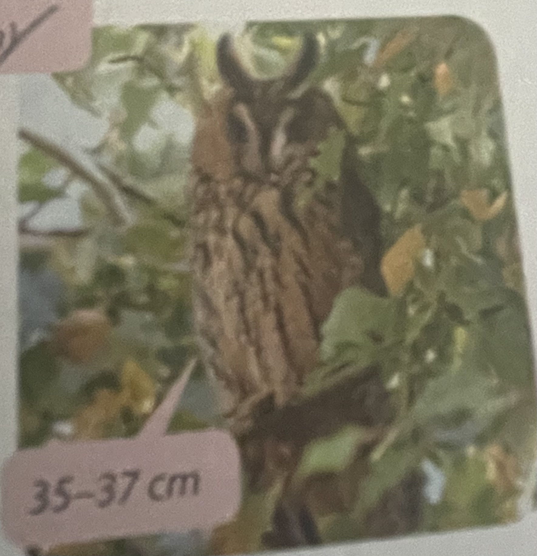 <p>mikä eläin</p>