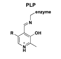 <p>Pyridoxine (Vitamin B6)</p>